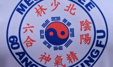 Sessenta anos de Kung Fu (Congfu) - Mestre Lee